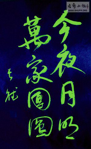 DSC00710a.jpg