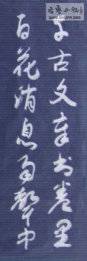 STP62083291_.jpg