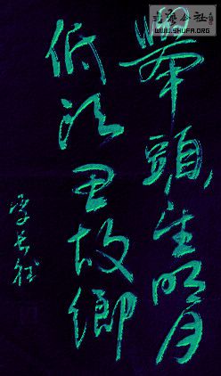 DSC00735ab.jpg