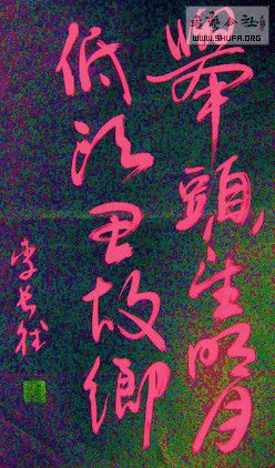 DSC00735a.jpg