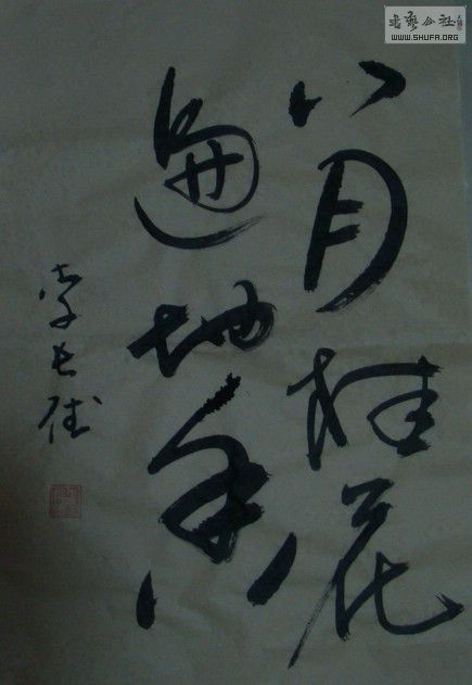 DSC00706.JPG