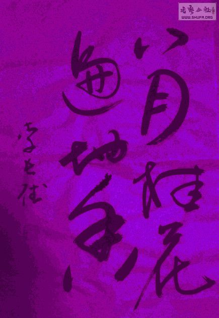 DSC00706a.jpg