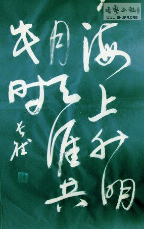 DSC00708a.jpg