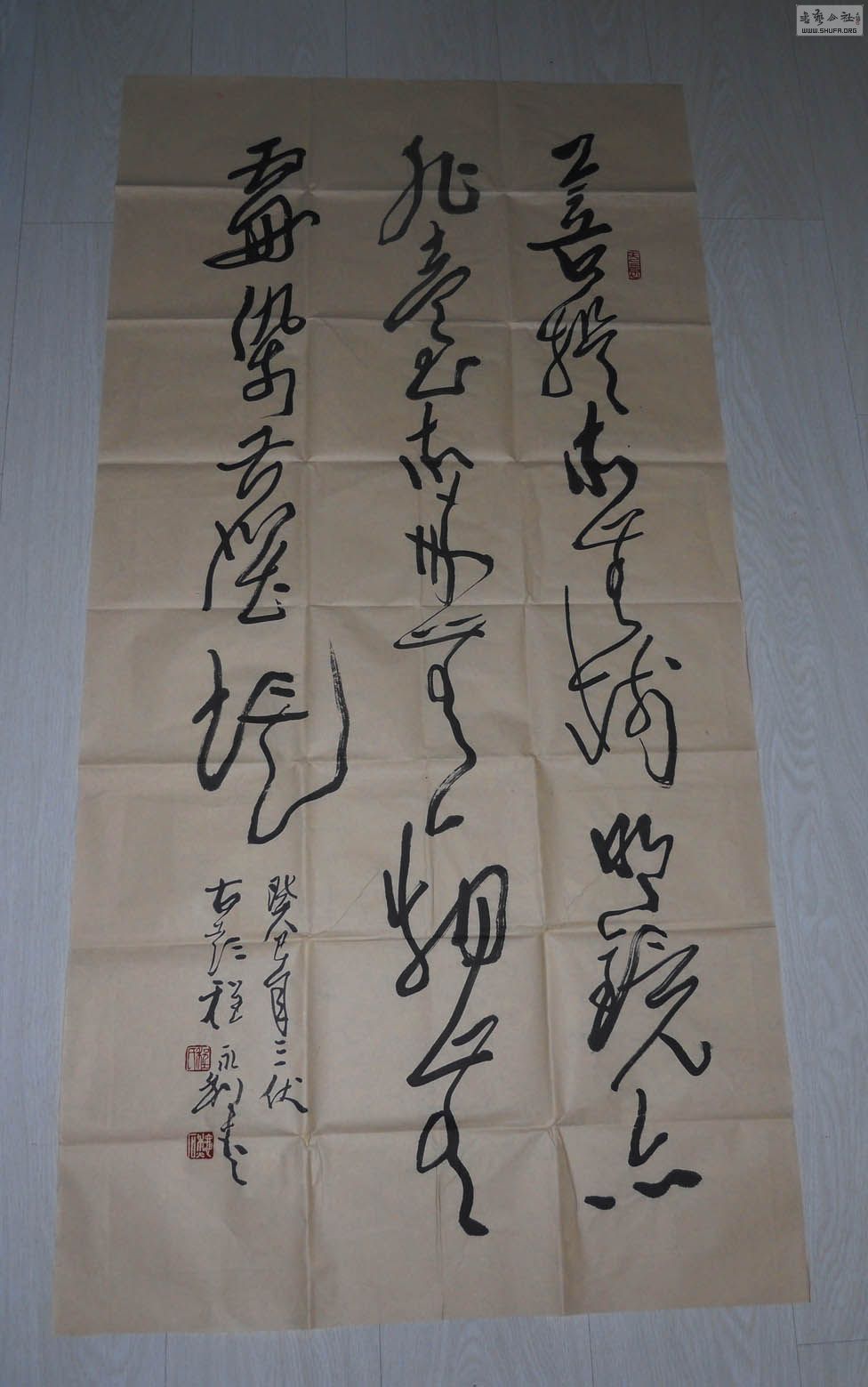 DSCN0339.jpg