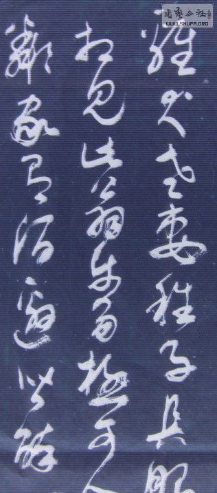 STP62083309_.jpg