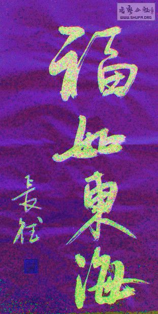 DSC00973.JPG