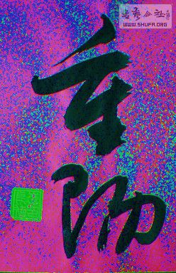 DSC01140a.jpg