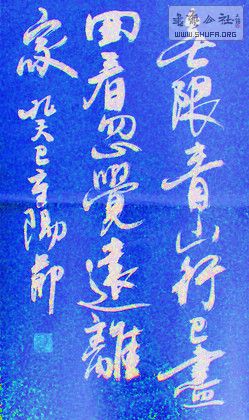 DSC01142a.jpg