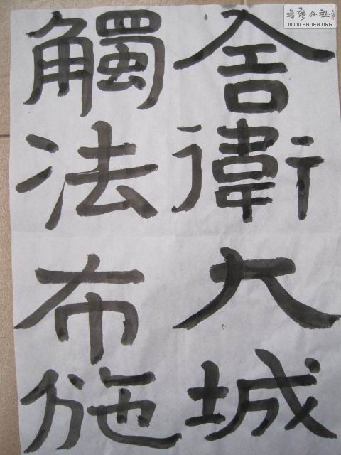 IMG_7100.JPG