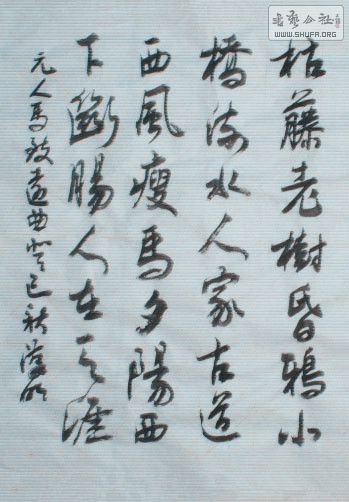 STP62083386_.jpg