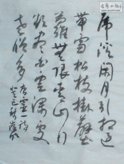 STP62083402_.jpg