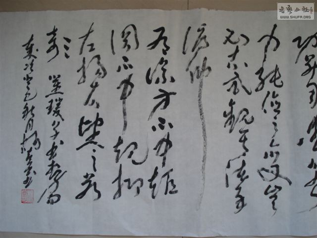DSC02636.JPG