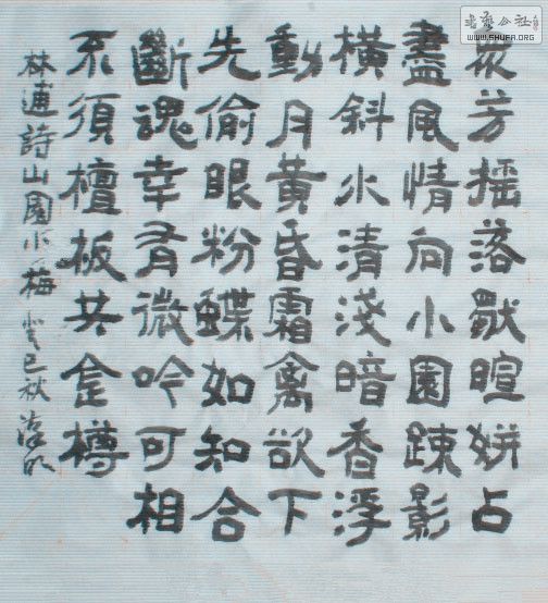 STP62083426__.jpg