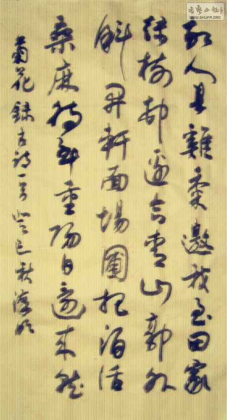 STP62083429_.jpg
