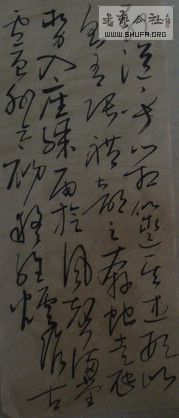 DSC01252.JPG