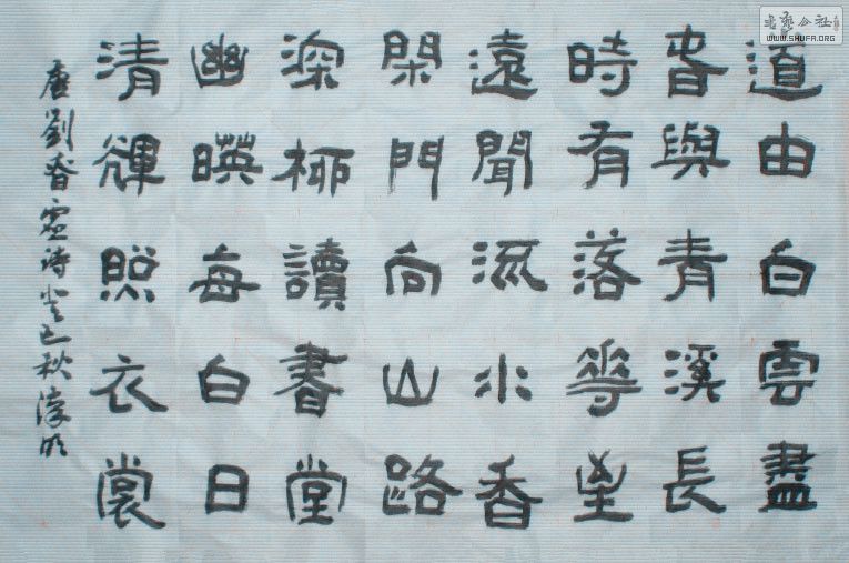 STP62083432_.jpg