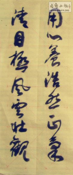 STP62083435_.jpg