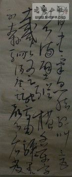 DSC01255.JPG