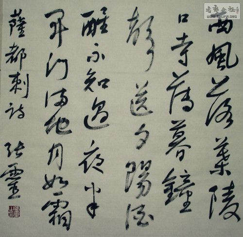 DSC08295_.jpg