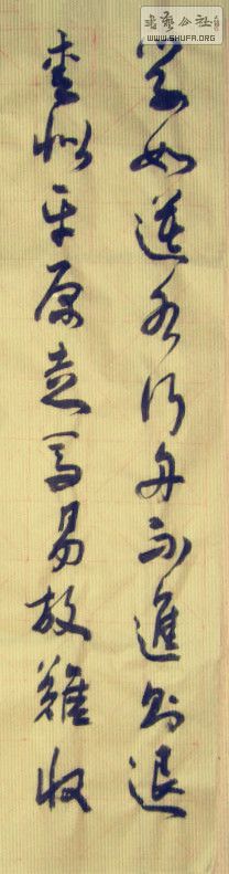 STP62083458_.jpg