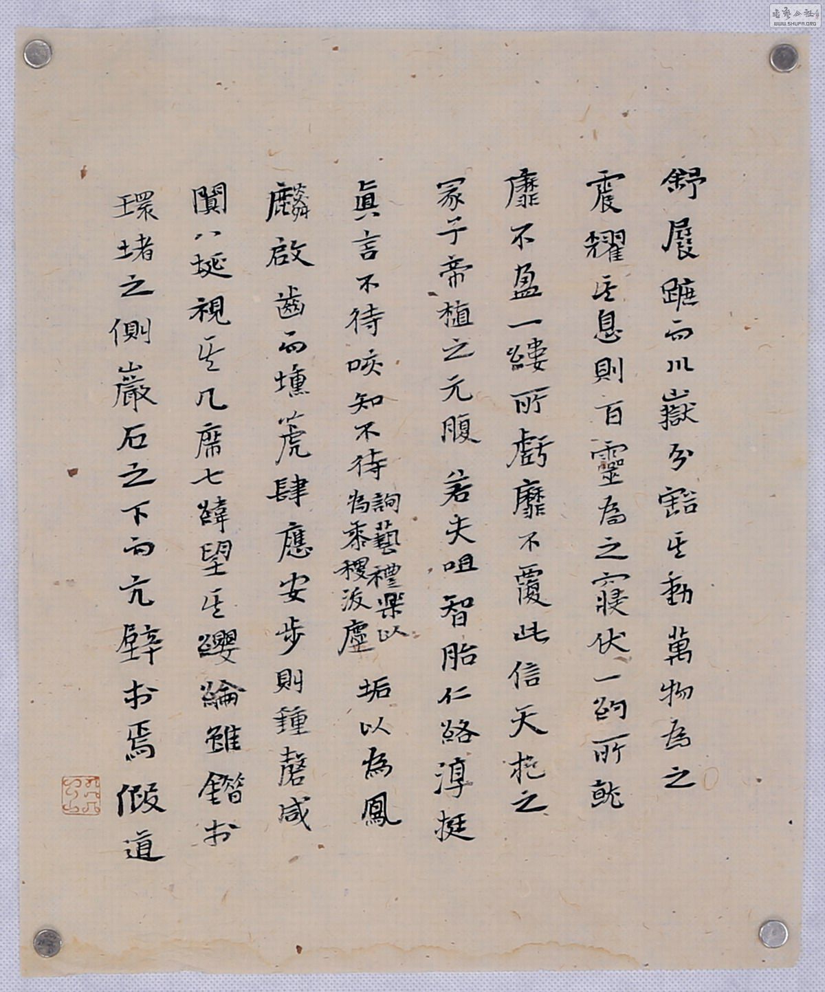 2 30cm35cm.jpg