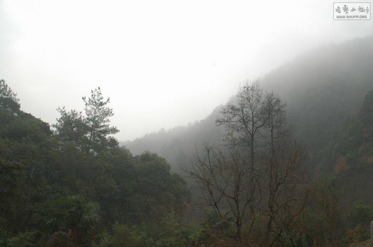 DSC_2493.JPG