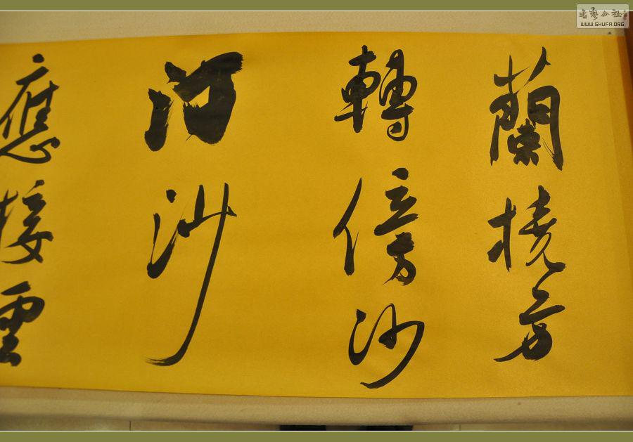 ż 366.jpg