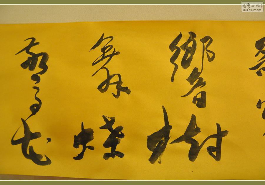 ż 378.jpg
