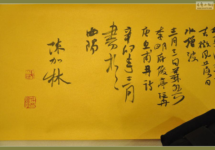 ż 388.jpg