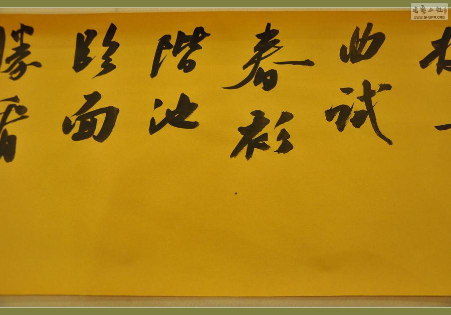 ż 392.jpg