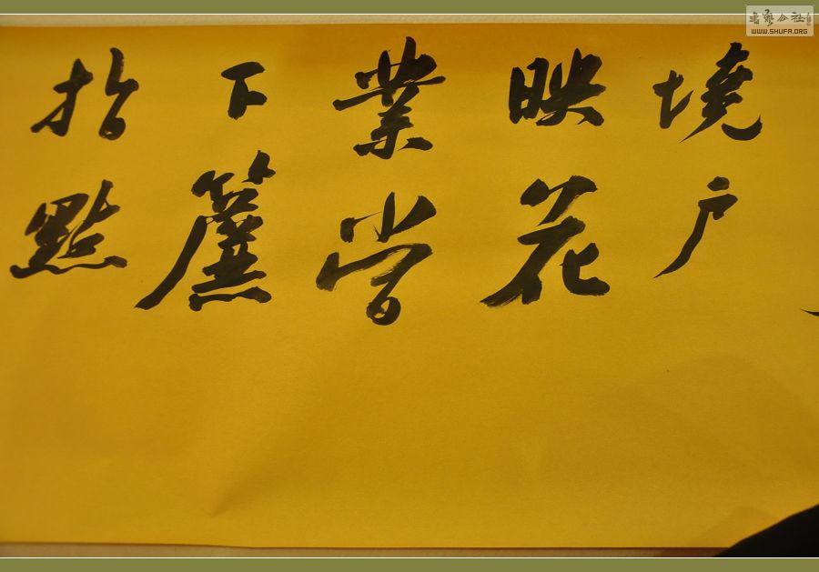 ż 393.jpg