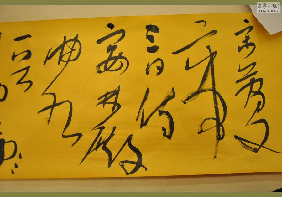 ż 416.jpg