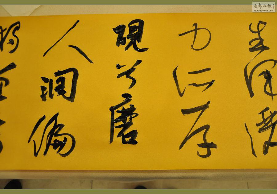 ż 533.jpg