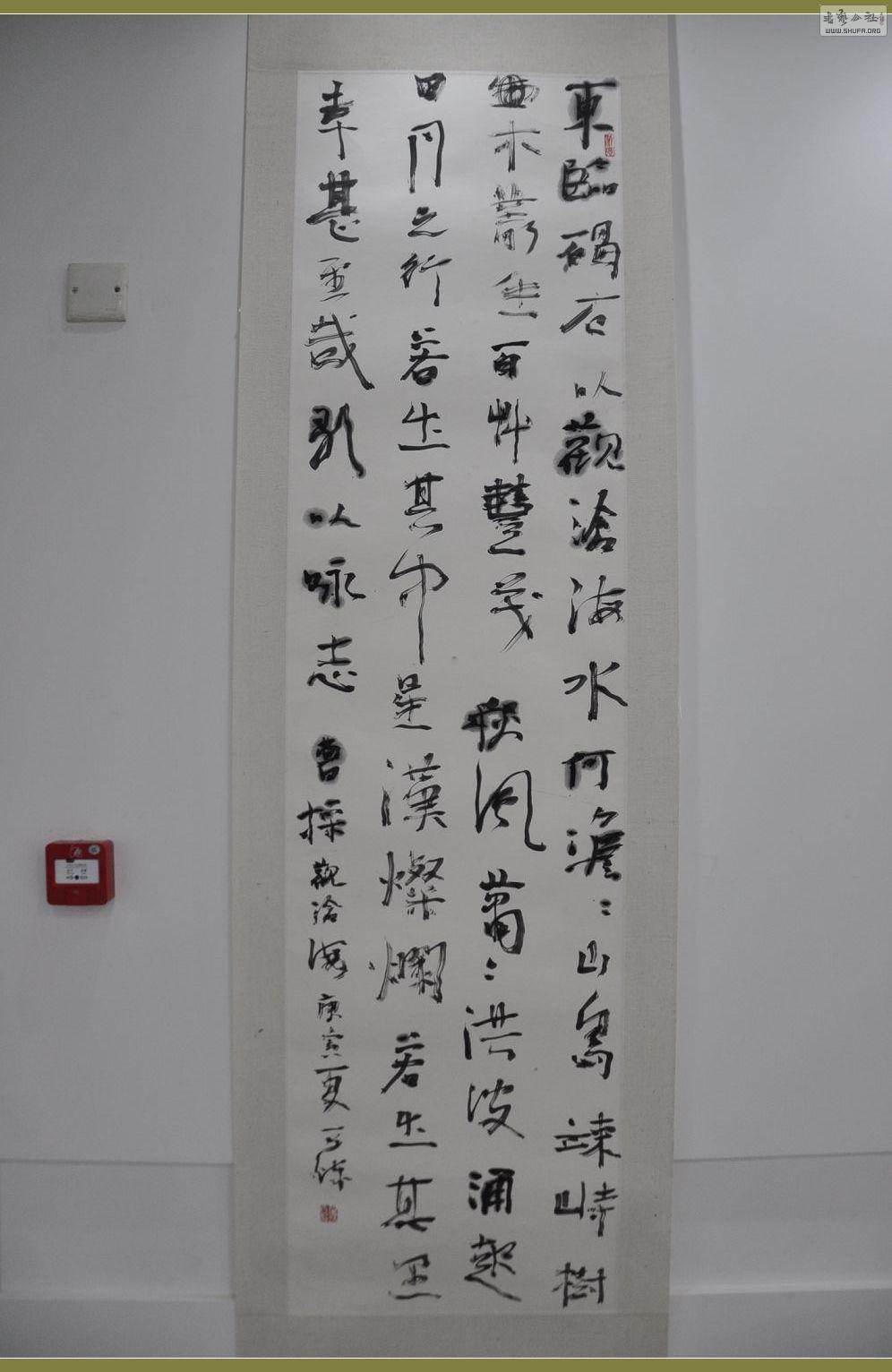 DSC_0049.jpg