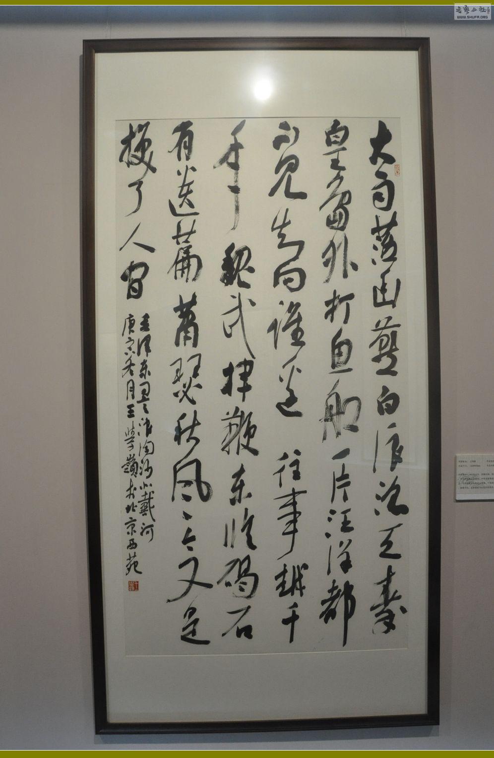 DSC_0164.jpg