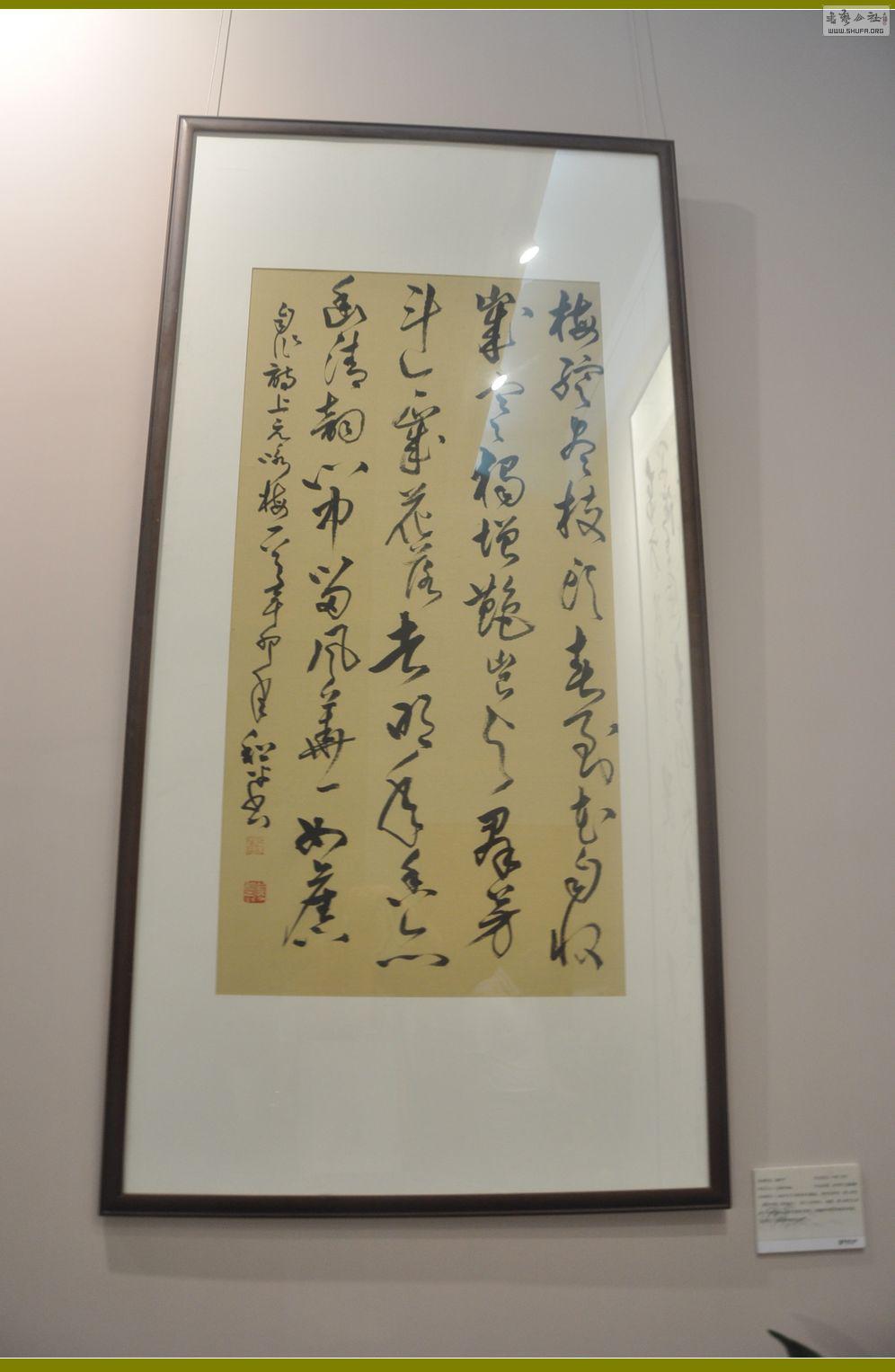 DSC_0203.jpg