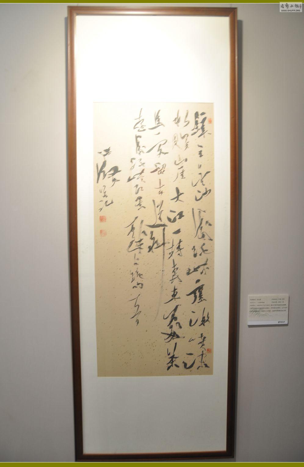 DSC_0206.jpg
