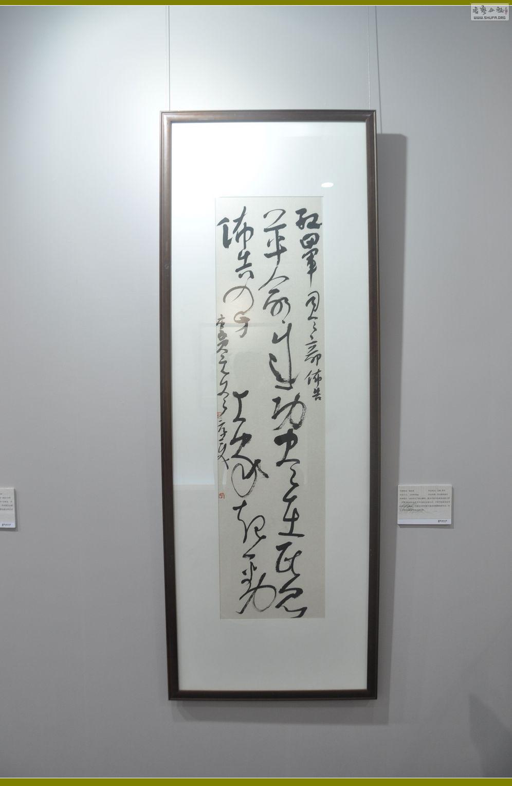 DSC_0301.jpg