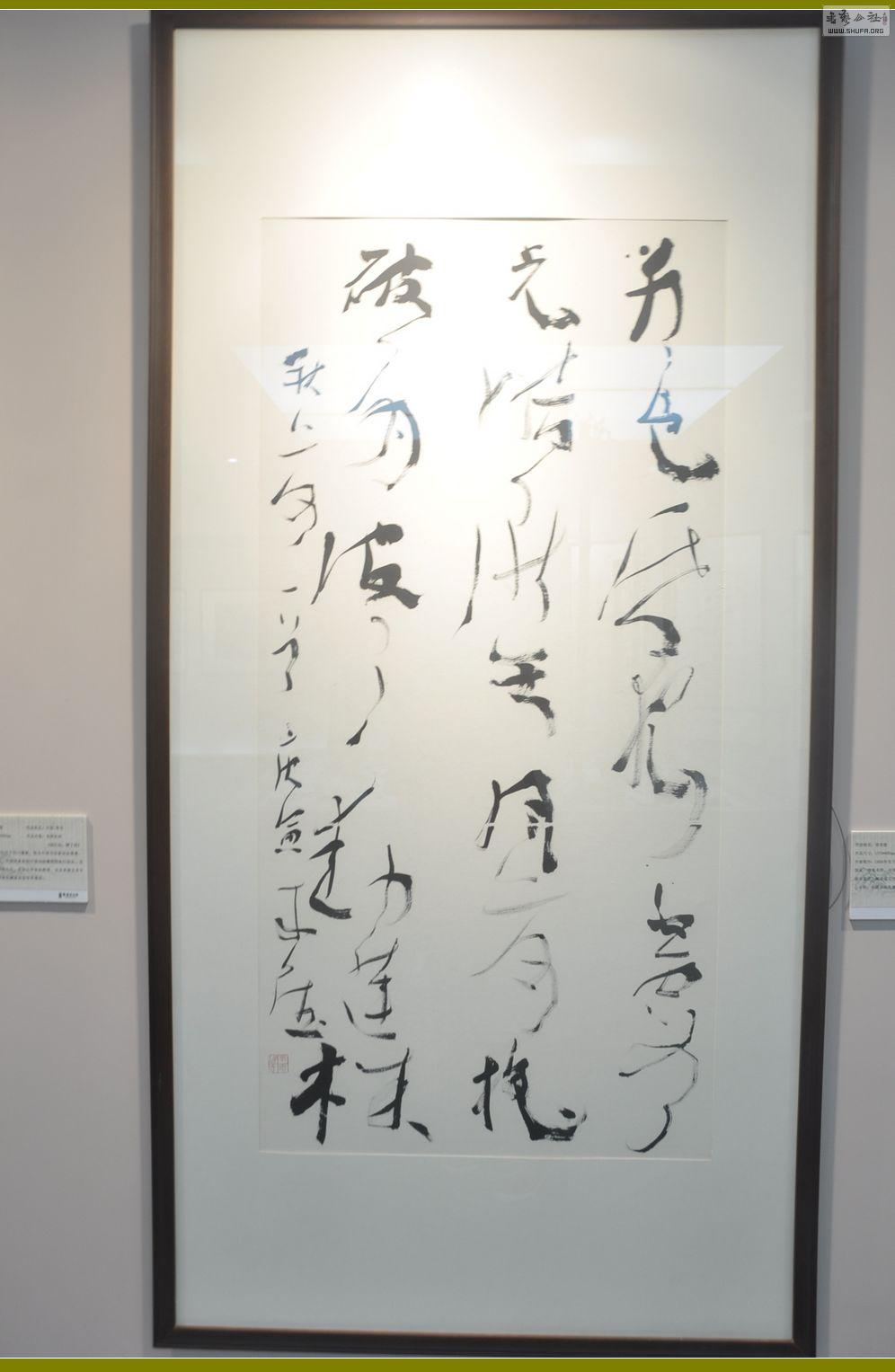 DSC_0330.jpg