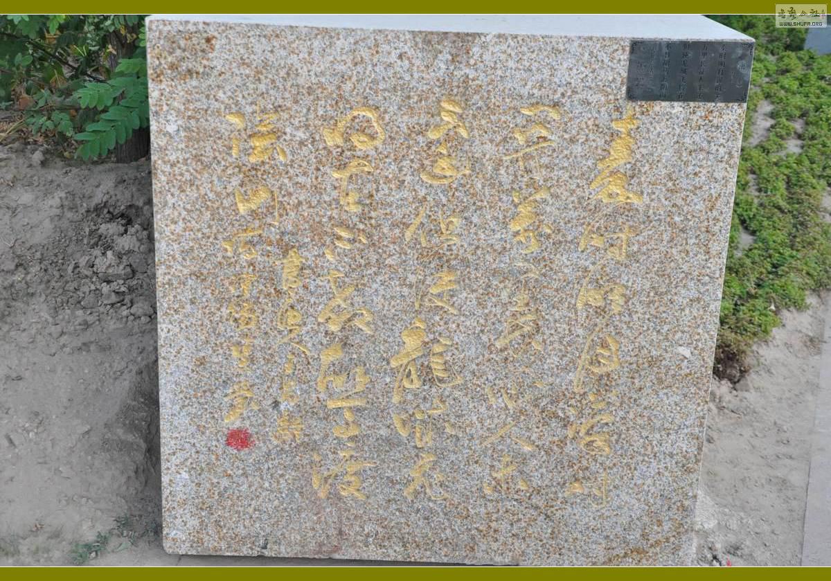 DSC_0307.JPG