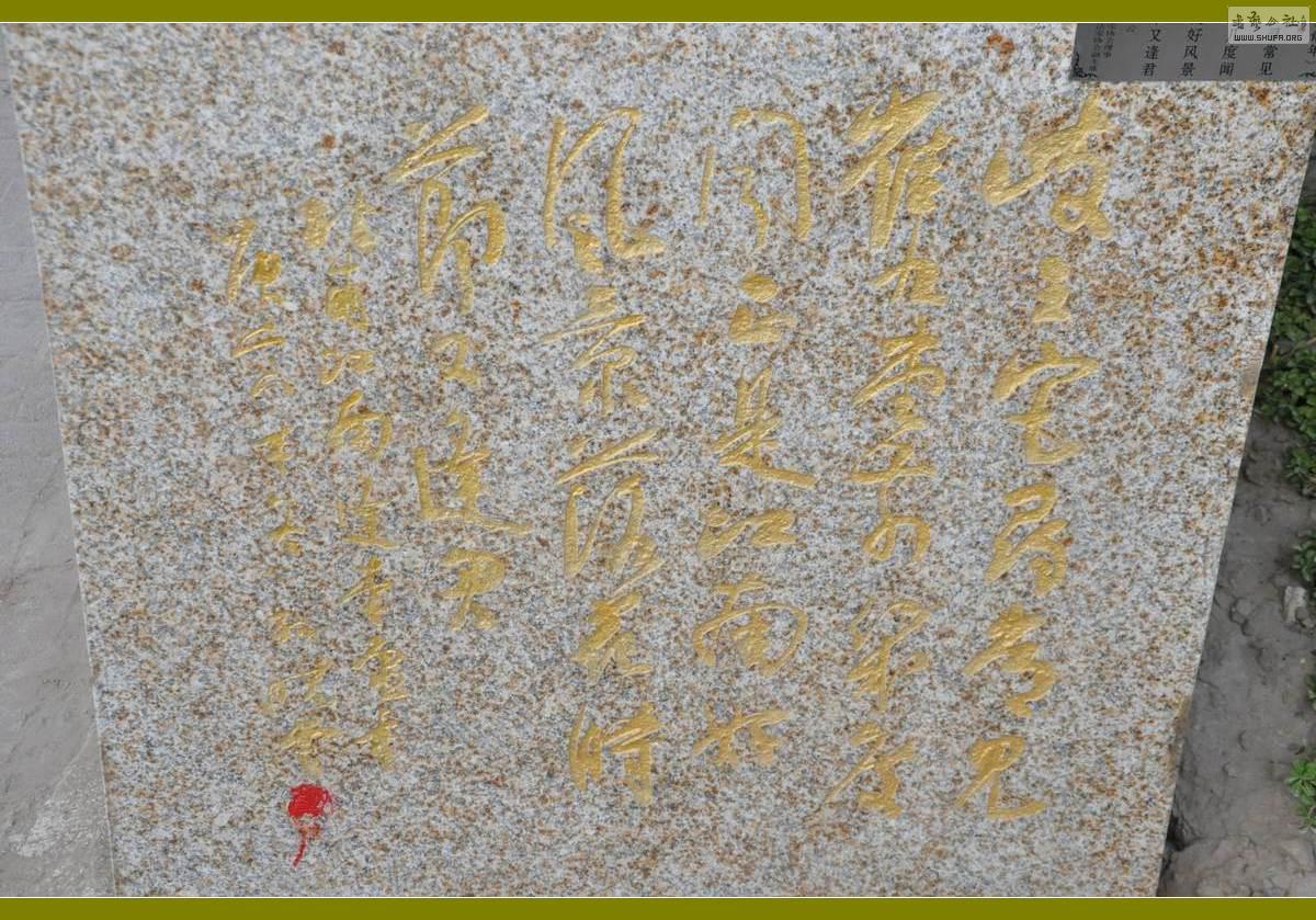 DSC_0308.JPG