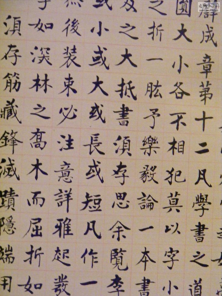 DSCF5884.jpg