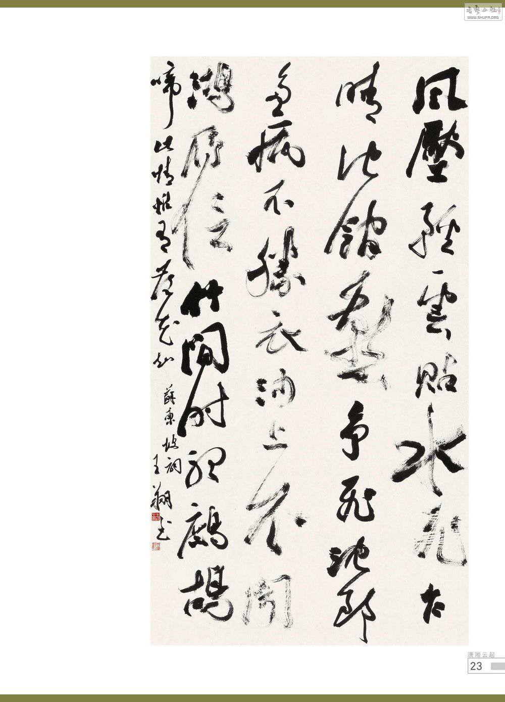 鷨23_conew1.jpg