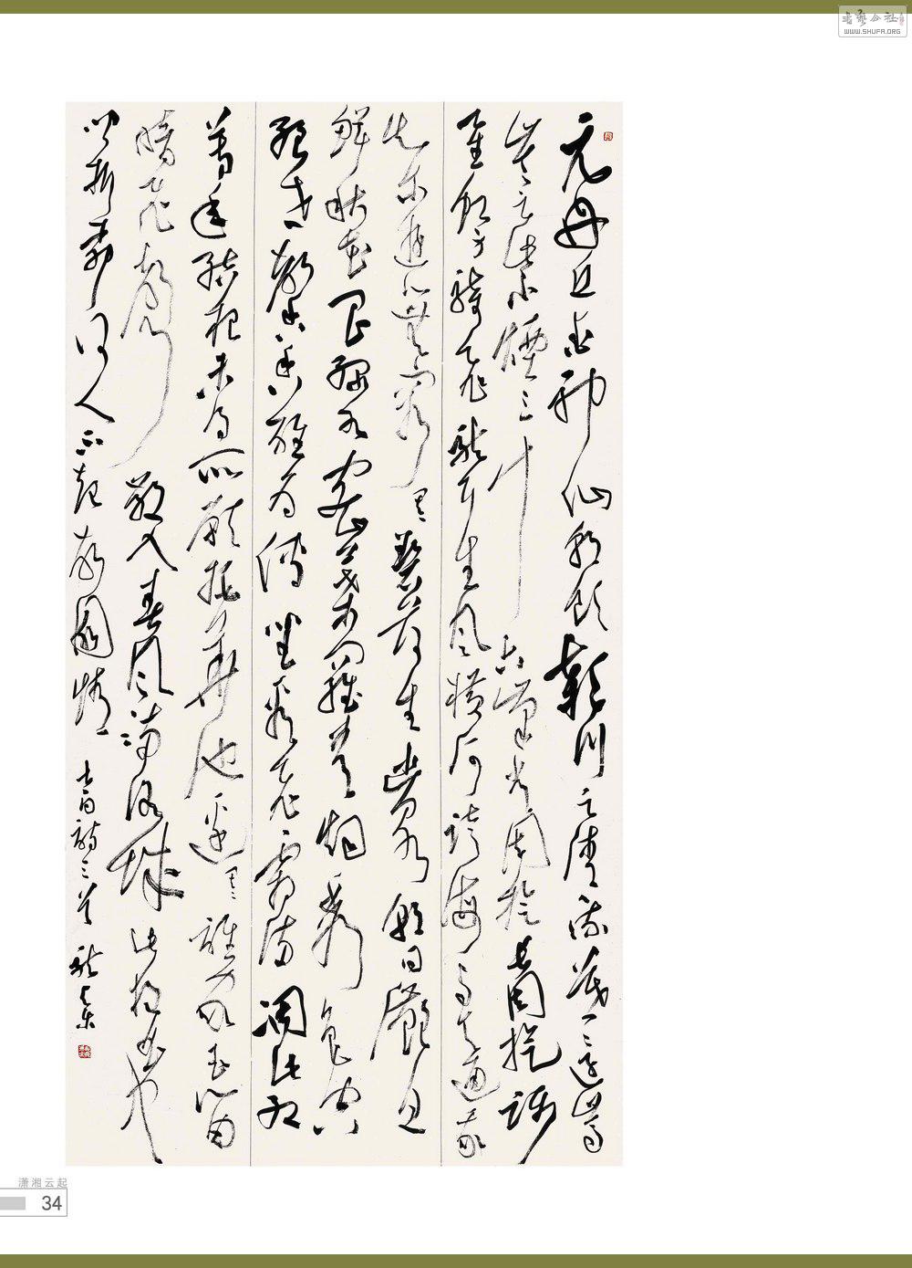 鷨34_conew1.jpg