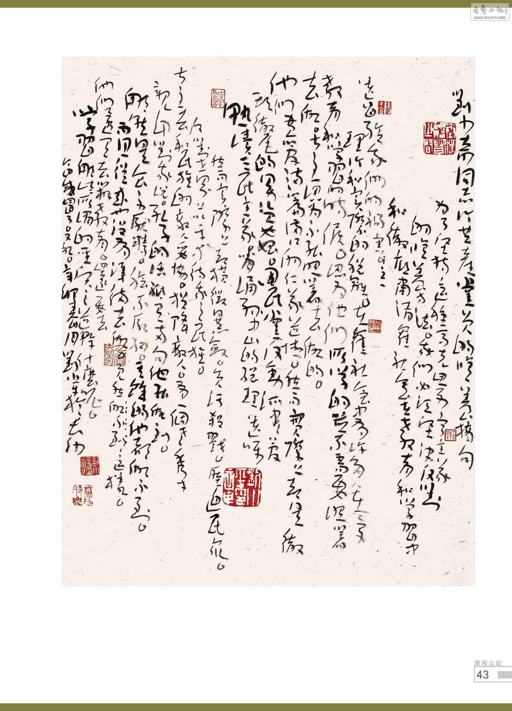 鷨43_conew1.jpg