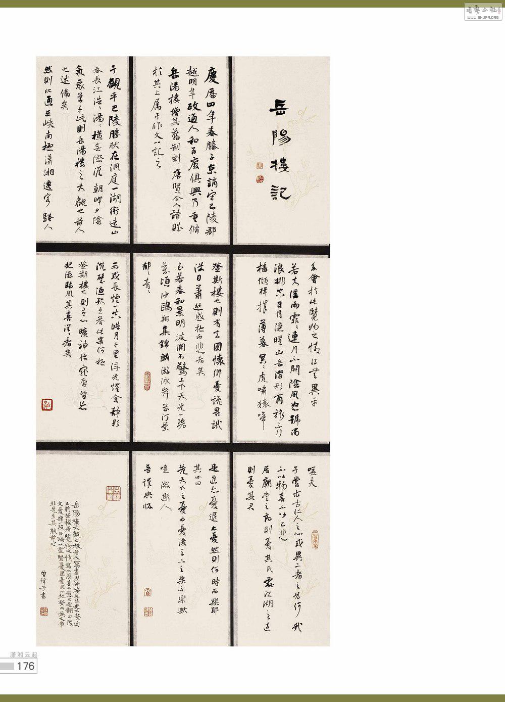 鷨176_conew1.jpg
