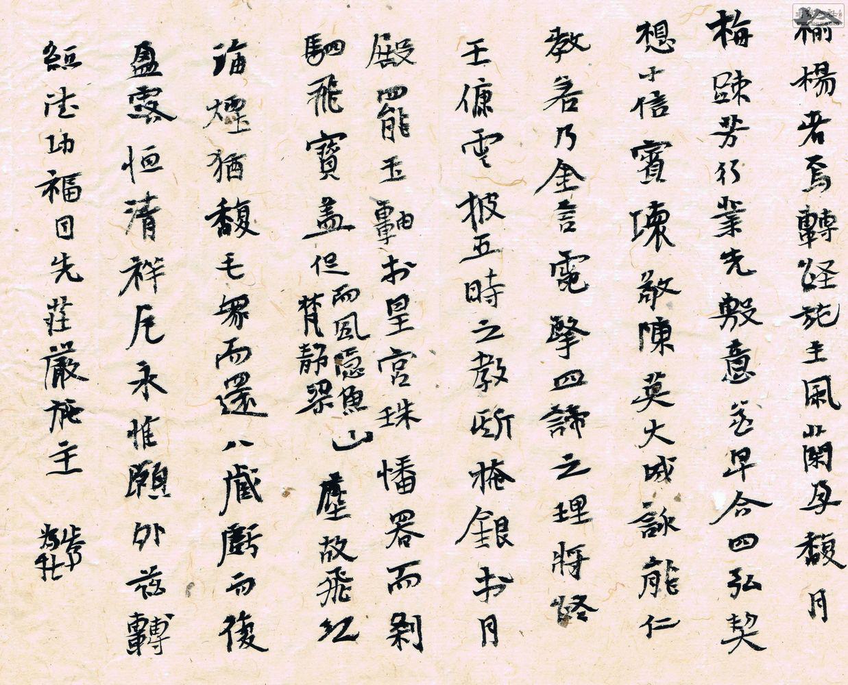 鷨20.jpg