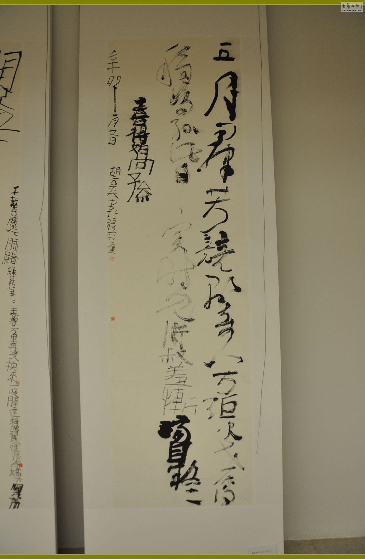 DSC_0080.jpg