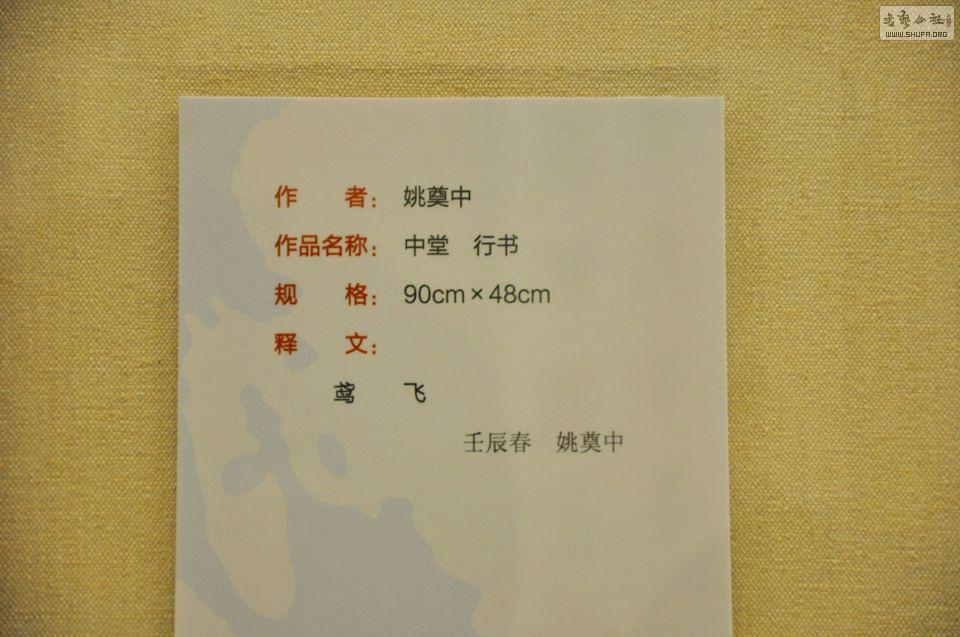 DSC_0390.jpg