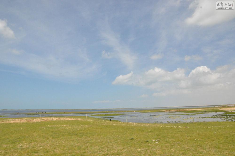 DSC_0480.jpg
